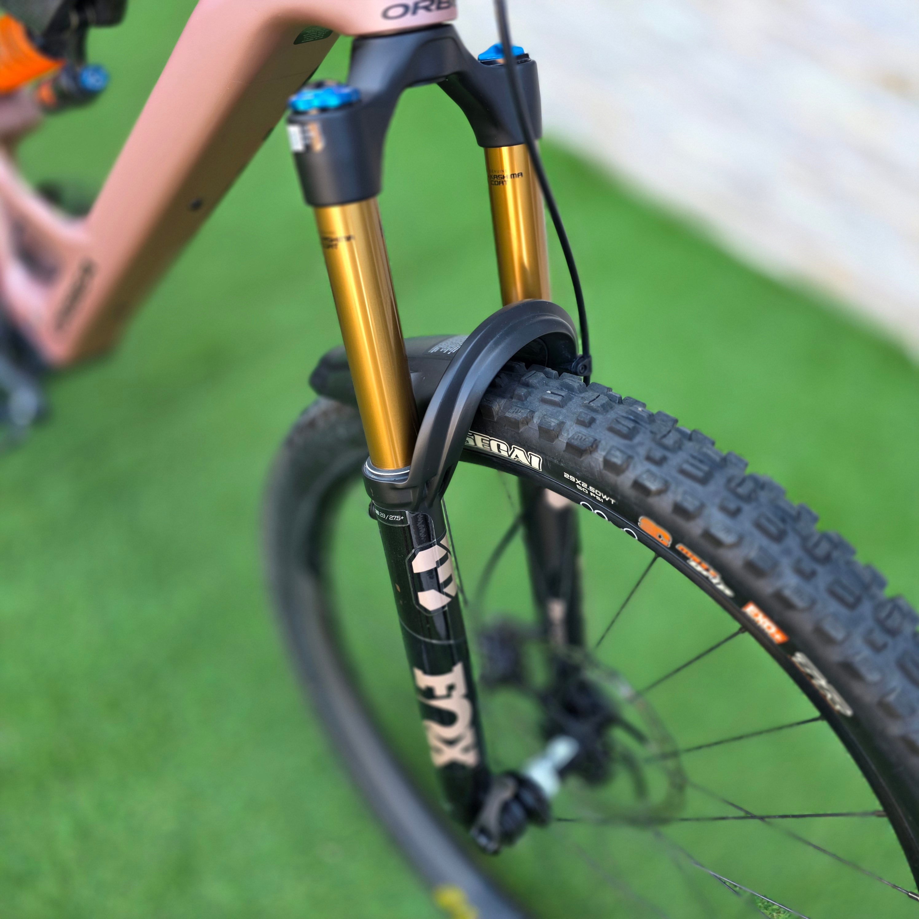 ORBEA Rise M10 2025 - tg L