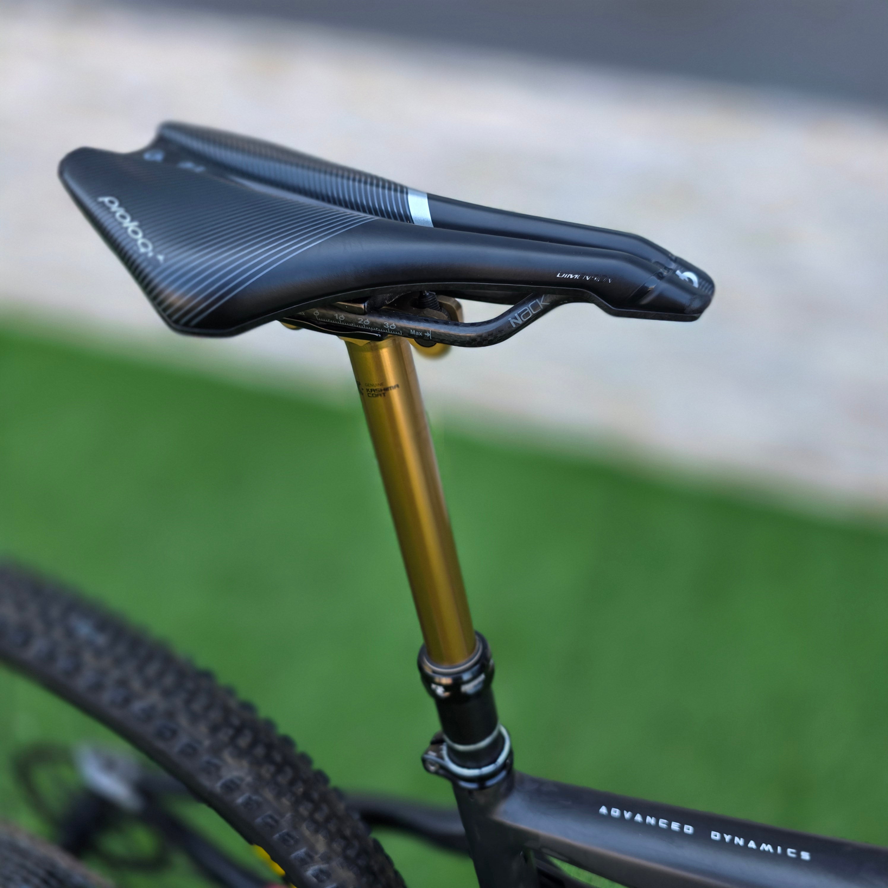 ORBEA Rise SL M10 2024- tg M
