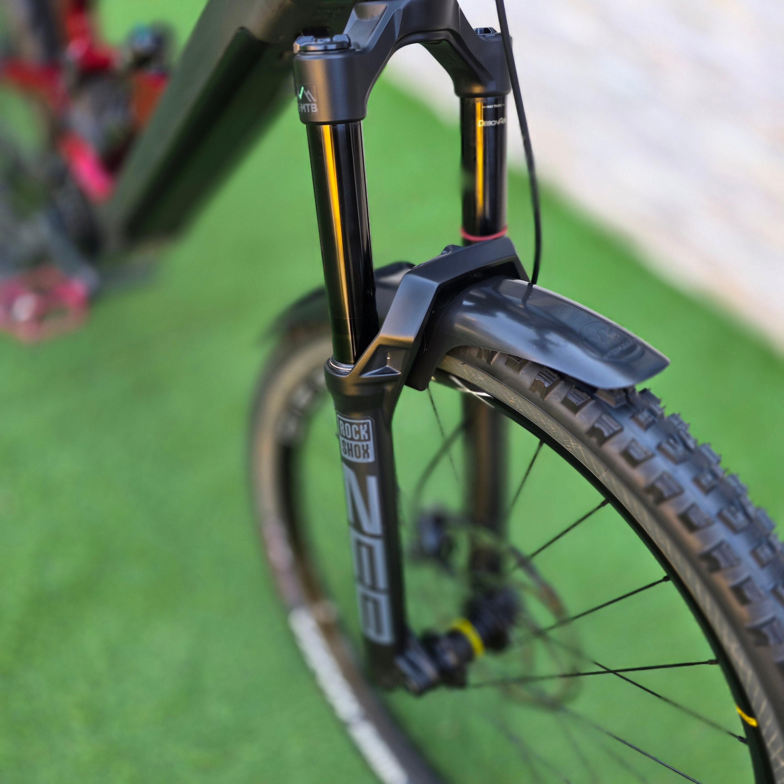 OLYMPIA Hammer Carbon 2025 Custom Tg.ML