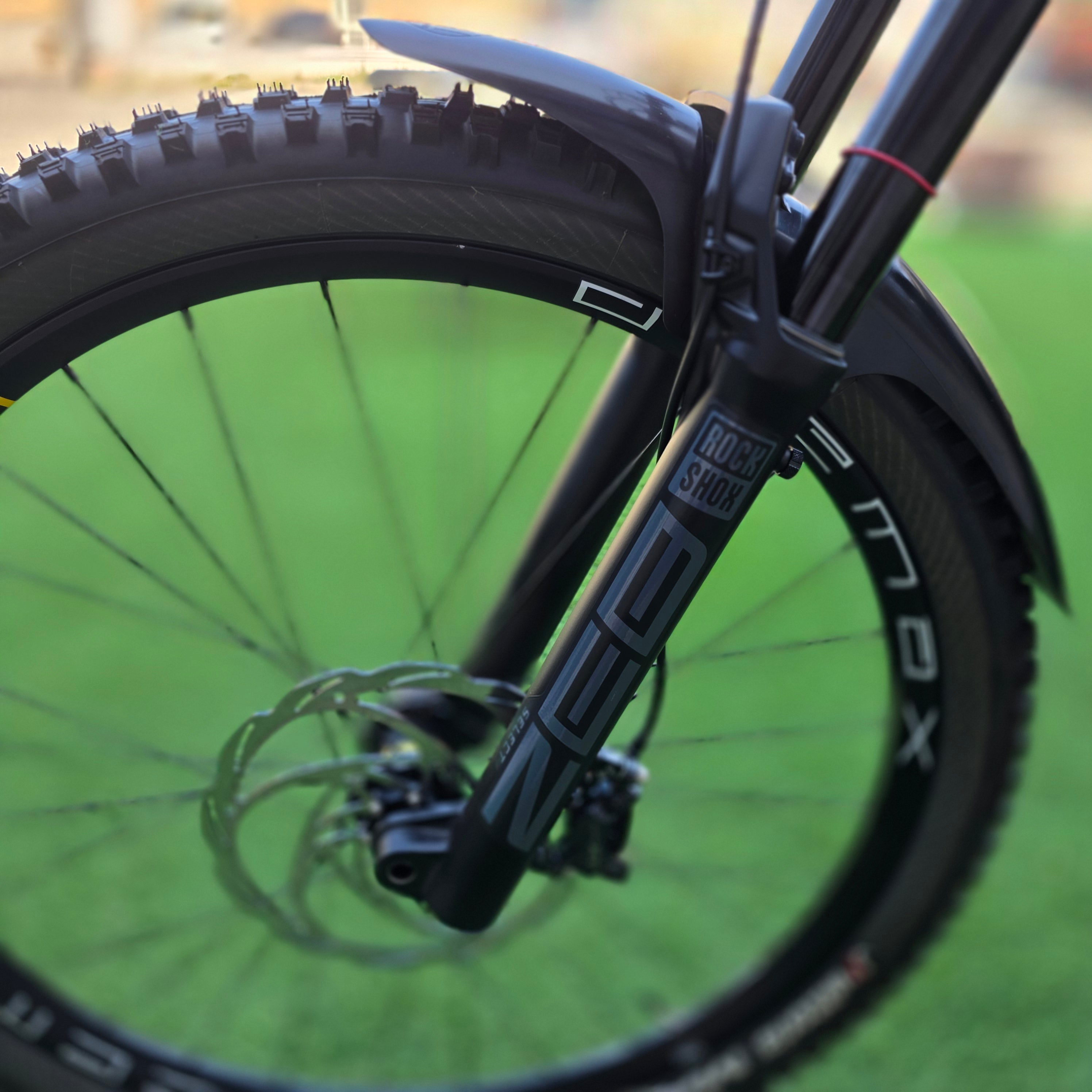 OLYMPIA Hammer Carbon 2025 Custom Tg.ML