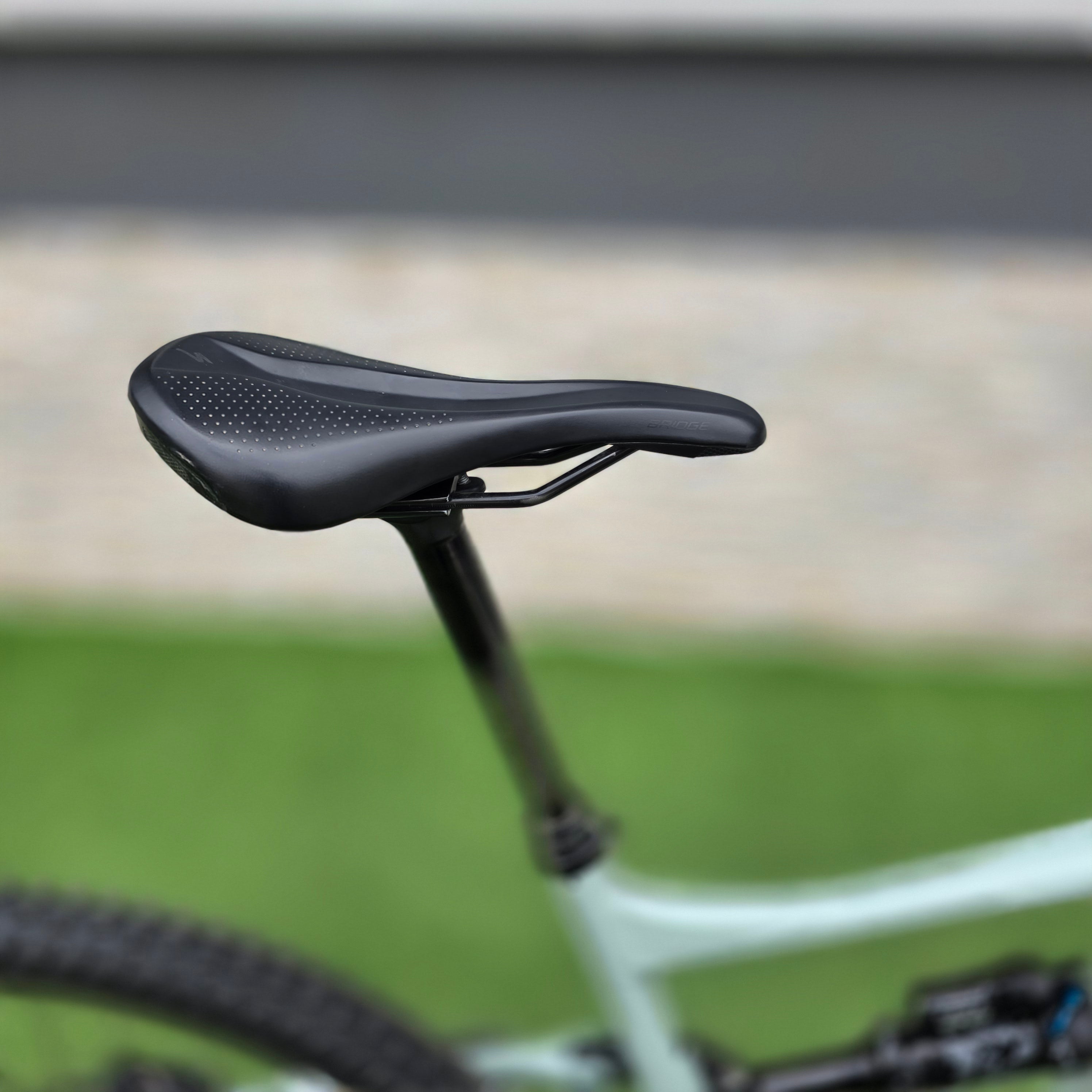 SPECIALIZED Status - tg XL
