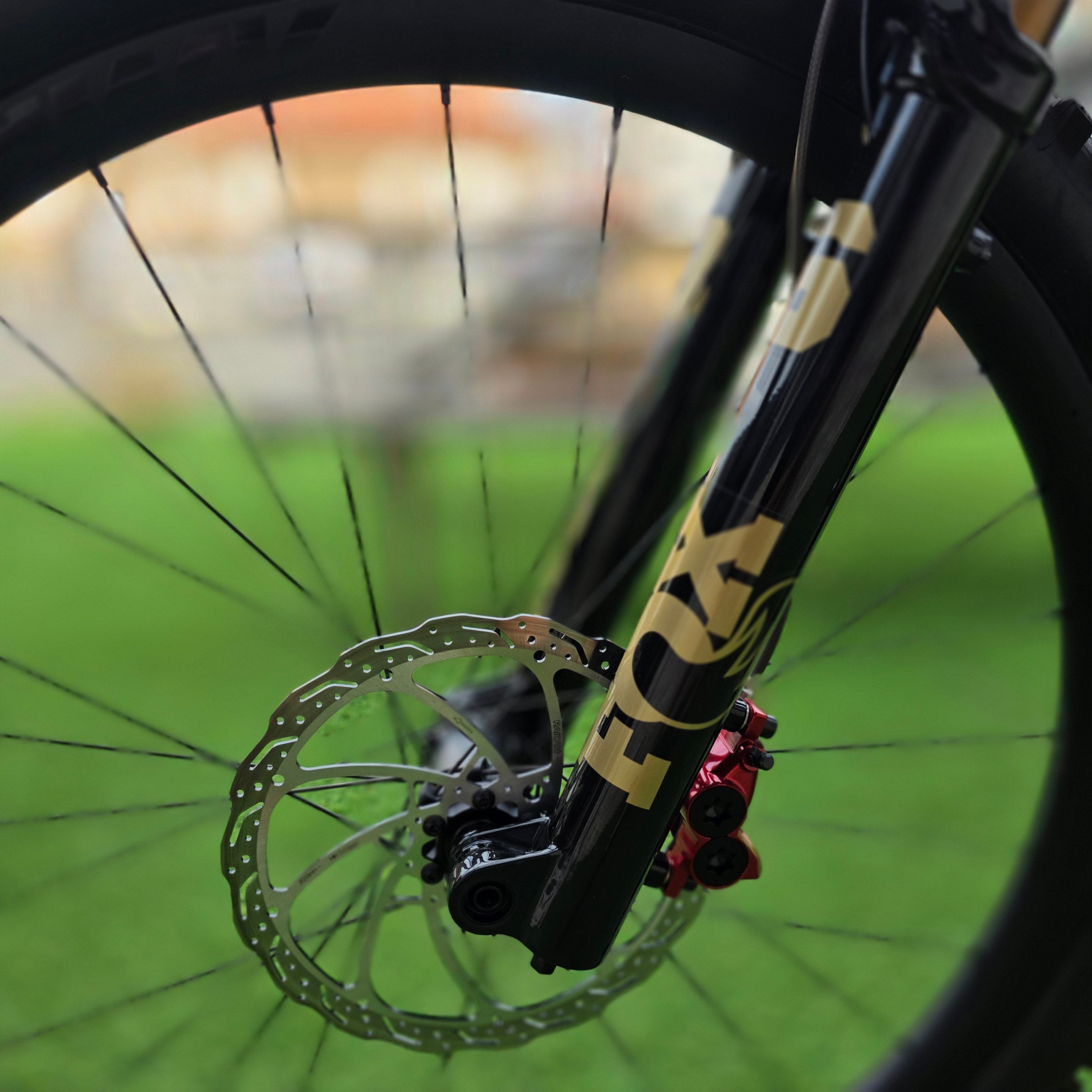 AMFLOW PL CARBON PRO custom tg. XL