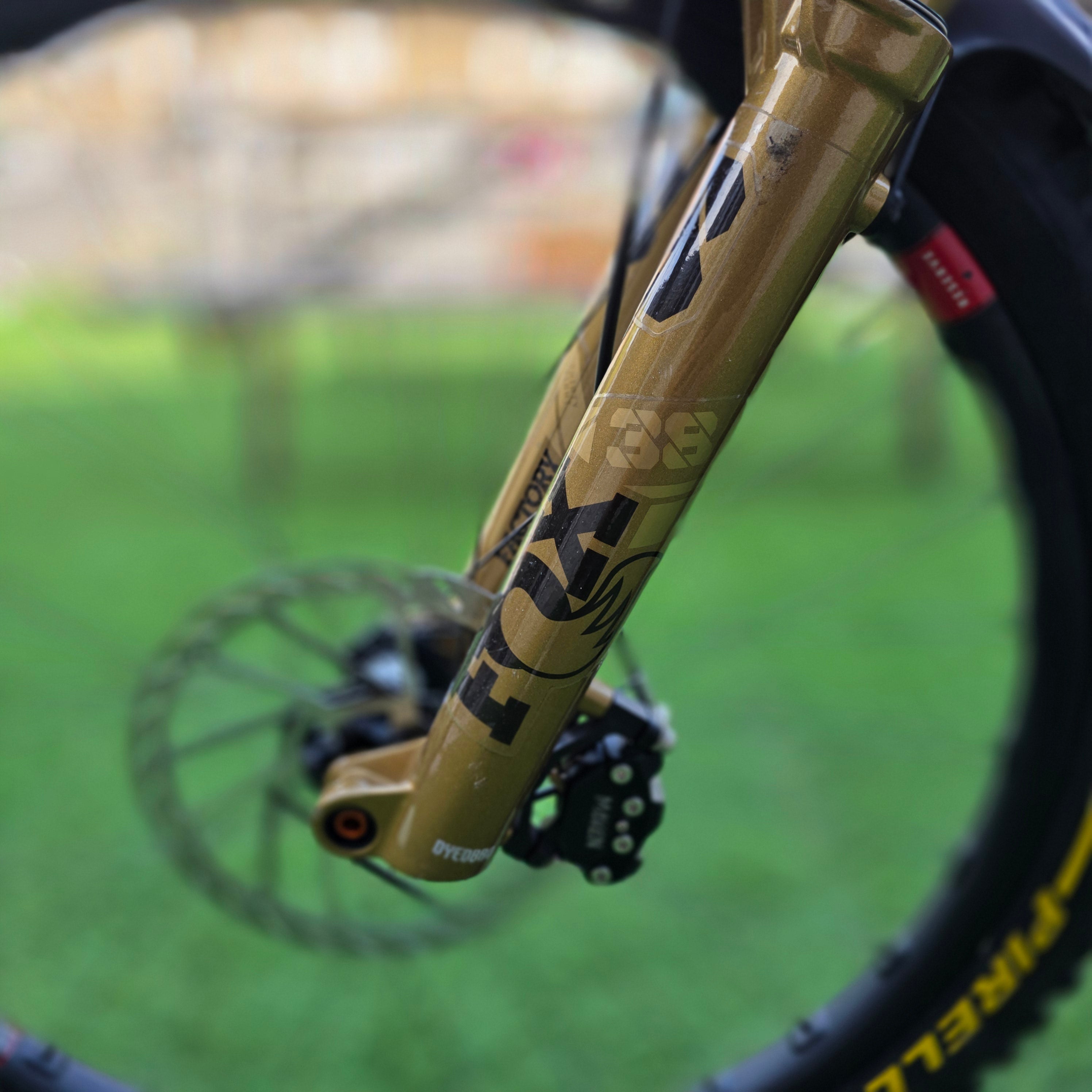 Santa Cruz Vala CC Custom - tg.L