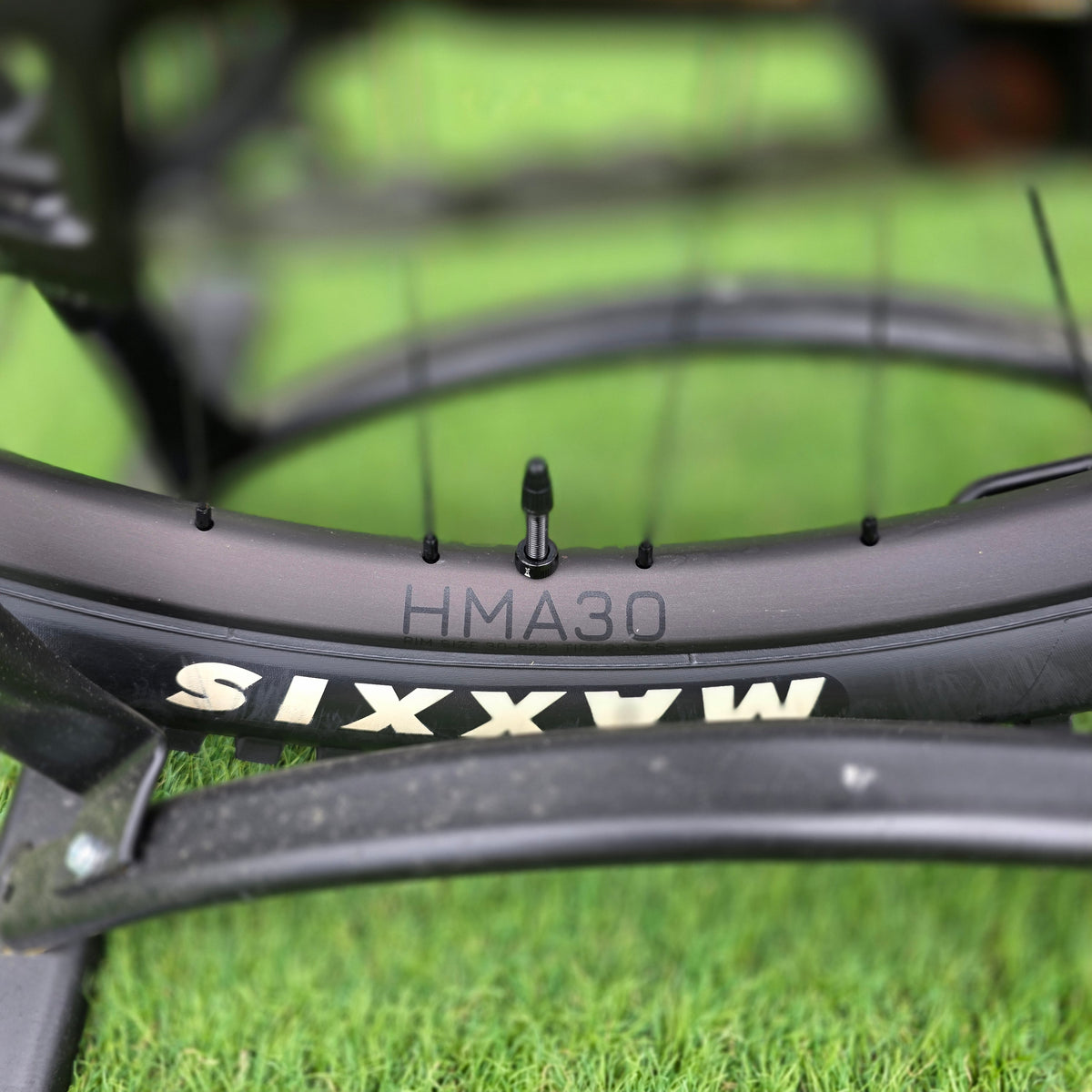 Amflow PL Carbon 2026 - tg. L