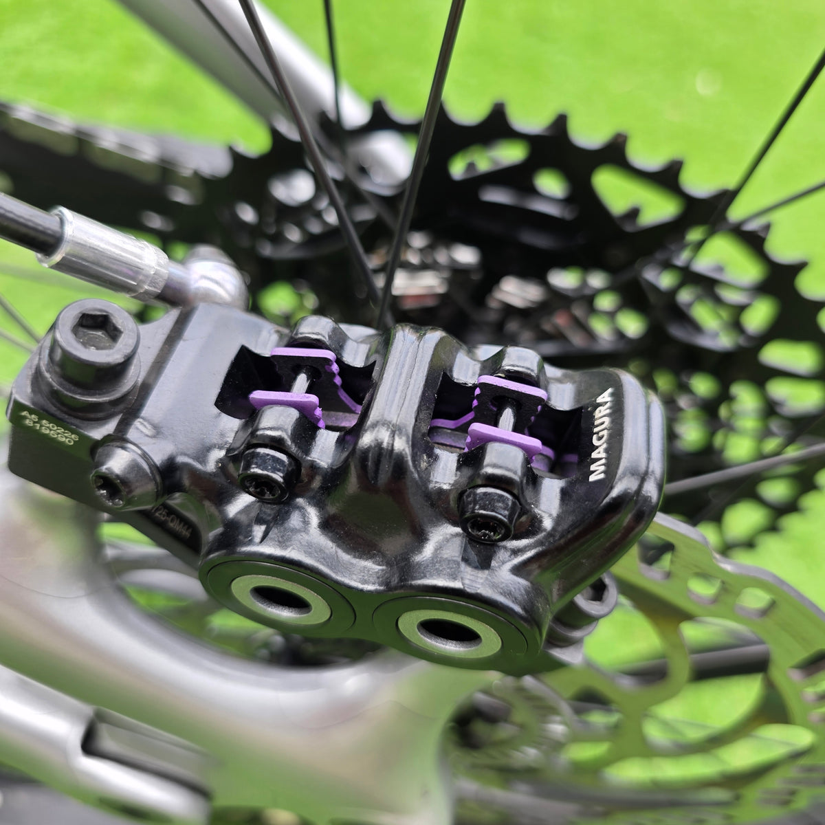 Amflow PL Carbon 2026 - tg. L