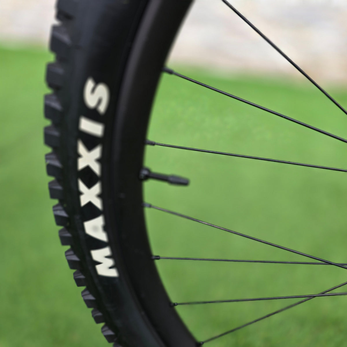 Amflow PL Carbon 2026 - tg. L