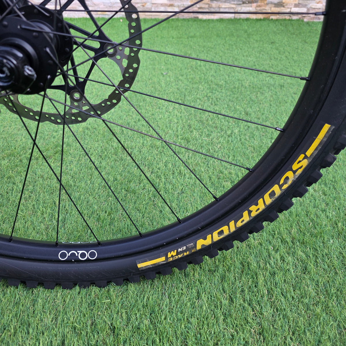 Orbea Wild M-Team 2025 Custom - tg. L