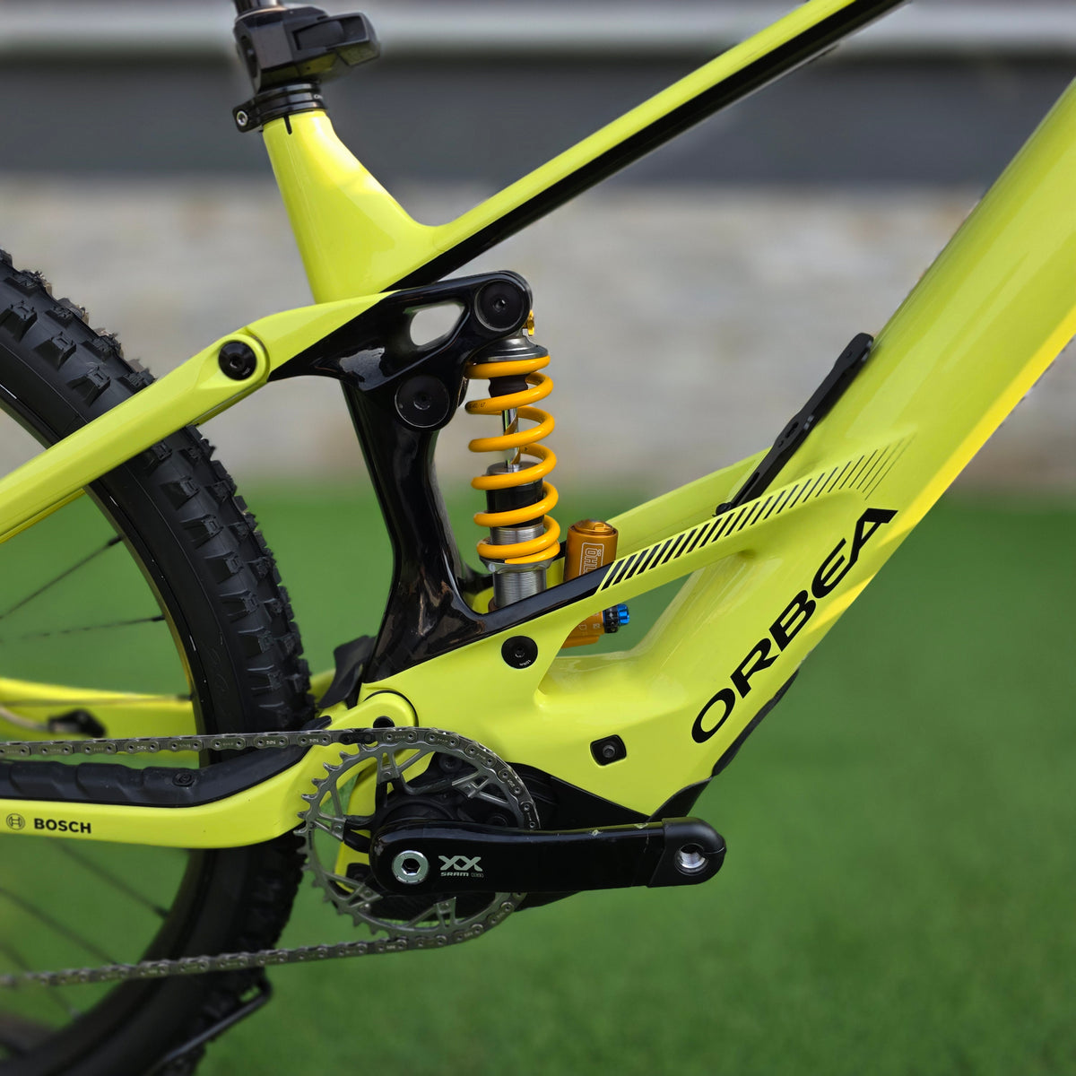 Orbea Wild M-Team 2025 Custom - tg. L