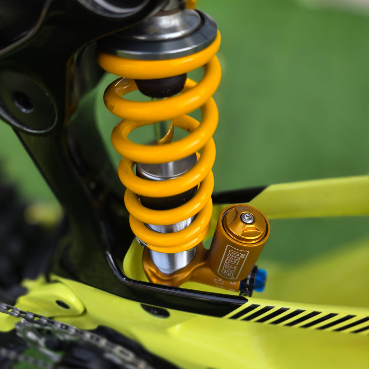 Orbea Wild M-Team 2025 Custom - tg. L