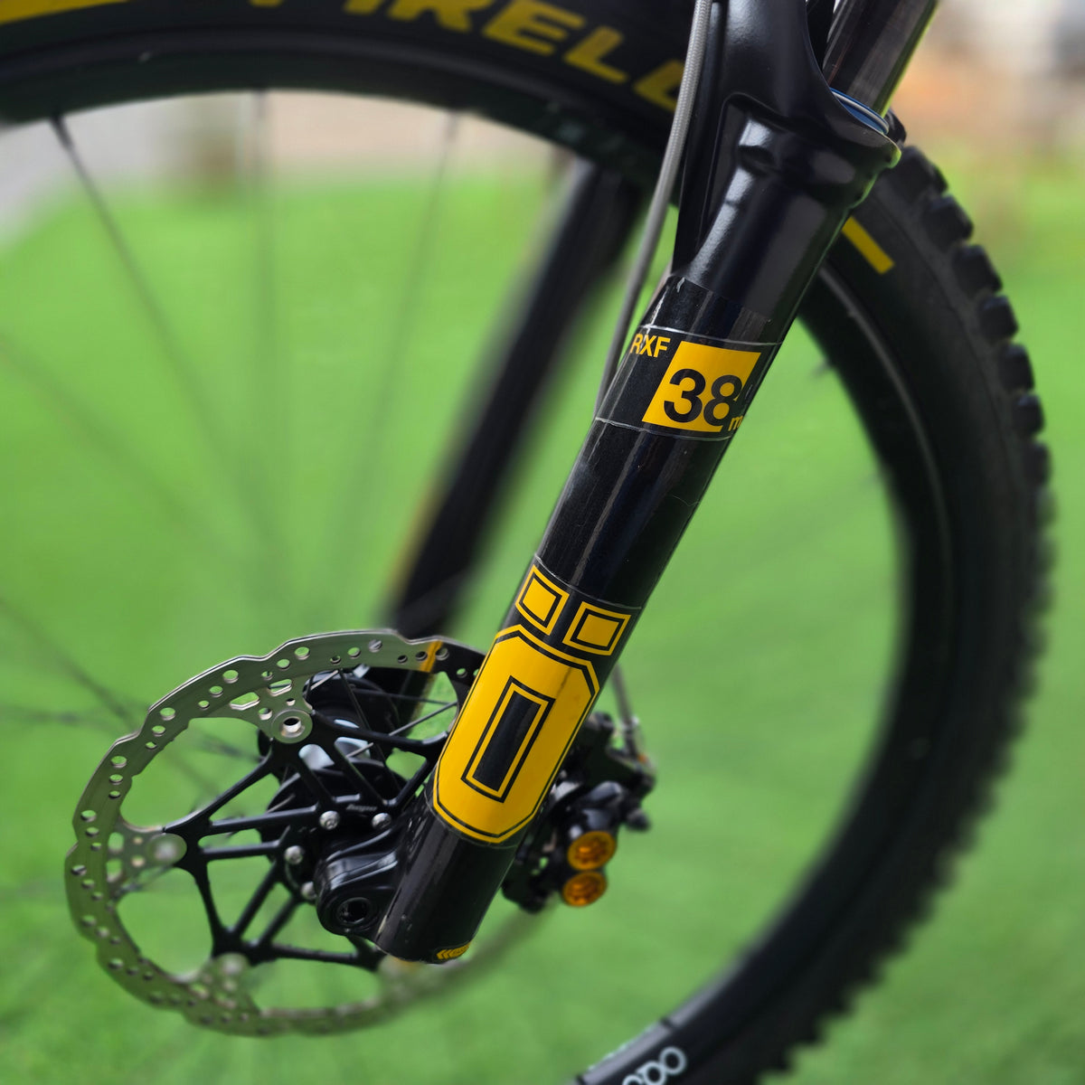 Orbea Wild M-Team 2025 Custom - tg. L