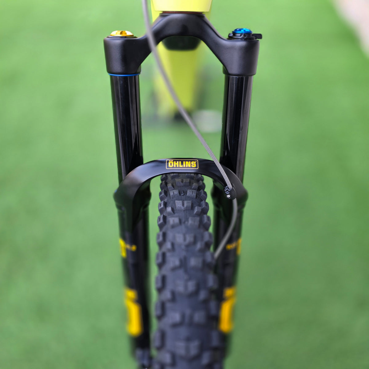 Orbea Wild M-Team 2025 Custom - tg. L